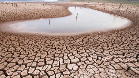 « Une crise de l'eau avec baisse drastique des ressources pourrait survenir » | Biodiversité | Scoop.it