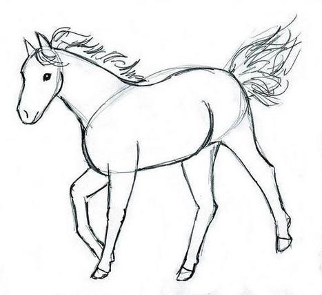Horse Drawing | Drawing and Painting Tutorials | Scoop.it
