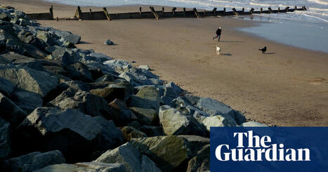 Politicians seem reluctant to take necessary action over sea level rise | Sea level | The Guardian | Operation Deimos | Scoop.it