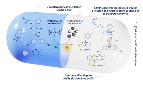 FOCUS PLATEFORME : Un nouveau proc&eacute;d&eacute; de synth&egrave;se disponible pour la pr&eacute;paration de mol&eacute;cules deut&eacute;r&eacute;es et triti&eacute;es | Life Sciences Universit&eacute; Paris-Saclay | Scoop.it