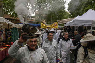 « Ce serait une catastrophe » : des apiculteurs manifestent contre les pesticides à Bordeaux et Toulouse | Environnement - Développement durable - Climat | Scoop.it