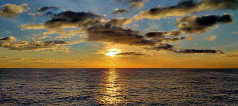 Si esperas a que te venga la motivaci&oacute;n&hellip; | Roser Batlle - Blog de aprendizaje-servicio de Roser Batlle | Educaci&oacute;n, TIC y ecolog&iacute;a | Scoop.it