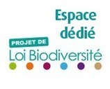 Biodiversit&eacute; : d&eacute;but de l'examen du projet de loi - Minist&egrave;re du D&eacute;veloppement durable | Biodiversit&eacute; | Scoop.it