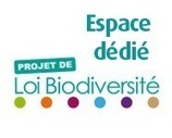 Le projet de loi biodiversité adopté par la commission du développement durable - Ministère du Développement durable | Biodiversité | Scoop.it