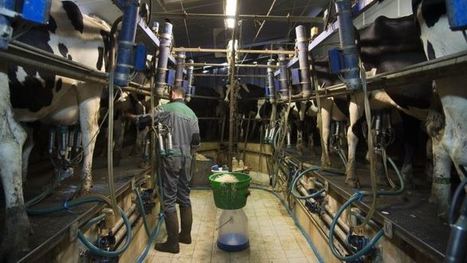 Pac et marchés laitiers : « Réguler les marchés coûte moins cher que gérer les conséquences des crises ! » | Lait de Normandie... et d'ailleurs | Scoop.it