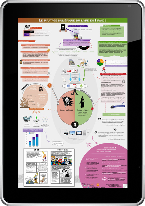 Saune-Dinh-Langlois-infographie-piratage.jpg (2396x3398 pixels) | J'écris mon premier roman | Scoop.it