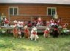 Semper Fido: Dog Scouts Of America Have Troops In 22 States | Nerdy Needs | Scoop.it