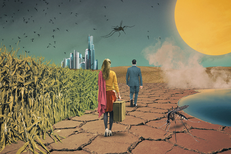 Health at a planetary scale | DURABILITES | Scoop.it