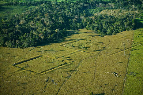 Amazon rainforest hides over 10,000 pre-Columbian earthworks | Heritage Daily | Kiosque du monde : Amériques | Scoop.it