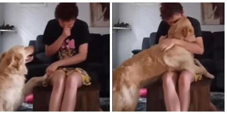 La conmovedora reacción de un perro ante una crisis de su dueña autista | Personas y Animales | Scoop.it