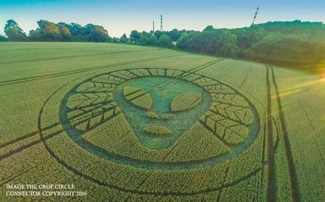 A Stunning New Crop Circle Has Shown Up & It’s Very Mysterious (Pictures) | IELTS, ESP, EAP and CALL | Scoop.it