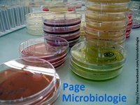 Les sites de microbiologie | Microbiologie | Scoop.it
