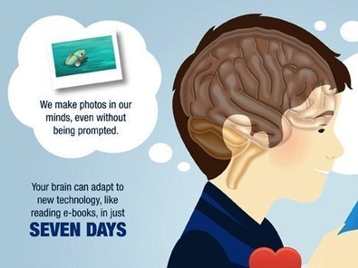 Your Brain on Books: 10 Things That Happen to Our Minds When We Read - OEDB.org | Library & Information Science | Scoop.it