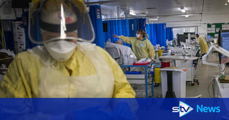 Ethnic groups likelier to suffer death of someone close during pandemic – study | Centre for Population Change Connecting Generations in the news | Scoop.it