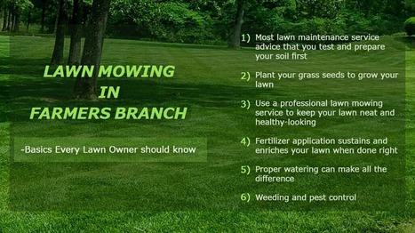 lawn cutting prices