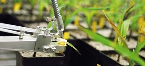 Switzerland is the most innovative industrial nation | Technology in Business Today | Scoop.it