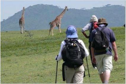 30,000 Chinese Tourists To Come To TZ | Chinese Travellers | Scoop.it