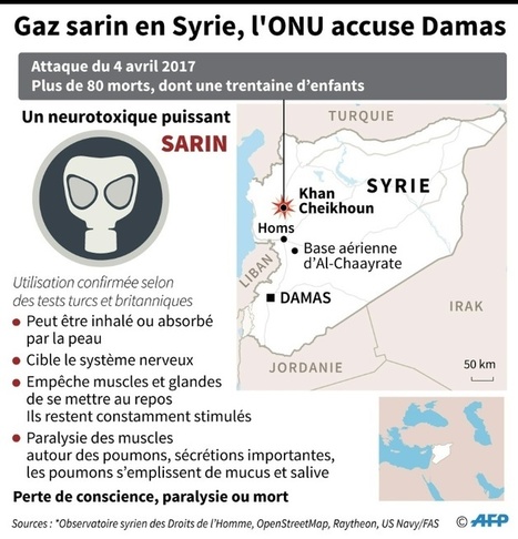 Attaques chimiques en #Syrie: la #Russie s'oppose aux Occidentaux à l'#ONU - AFP 8.11.17   #ONUMensonges #UNLies | Infos en français | Scoop.it