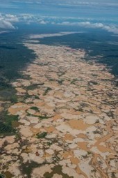 The Pit in the Woods:  Environmental Education in the Amazon | Rainforest CLASSROOM | Scoop.it