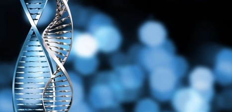À la recherche des gènes de la longévité | EntomoNews | Scoop.it