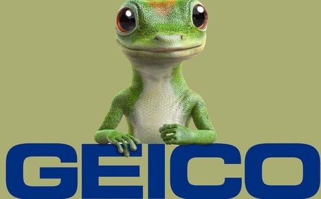 Geico insurance