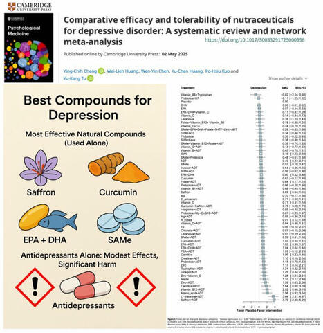 🚨 NEW STUDY – Natural Compounds Outperform SSRIs in Treating… | Nicolas Hulscher, MPH | Notebook or My Personal Learning Network | Scoop.it