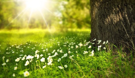 Symposium Substances Naturelles ICSN-UPSaclay | Universit&eacute; Paris Saclay,&nbsp;du 29 juin 2017 au 30 juin 2017 Campus CNRS de Gif-sur-Yvette&nbsp; | Life Sciences Universit&eacute; Paris-Saclay | Scoop.it