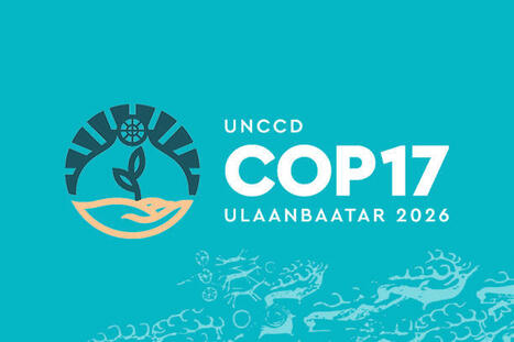 United Nations Convention to Combat Desertification -&nbsp;17th session of the Conference of the Parties | Biodiversit&eacute; | Scoop.it