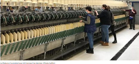 Le transformateur de lin Safilin ferme sa filature de Béthune | ENSAIT DOC | Scoop.it
