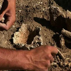 Comment devenir archéologue, préhistoire, néolithique, protohistoire, antiquité, moyen-age, époque moderne - institut de recherches archeologiques | Aux origines | Scoop.it