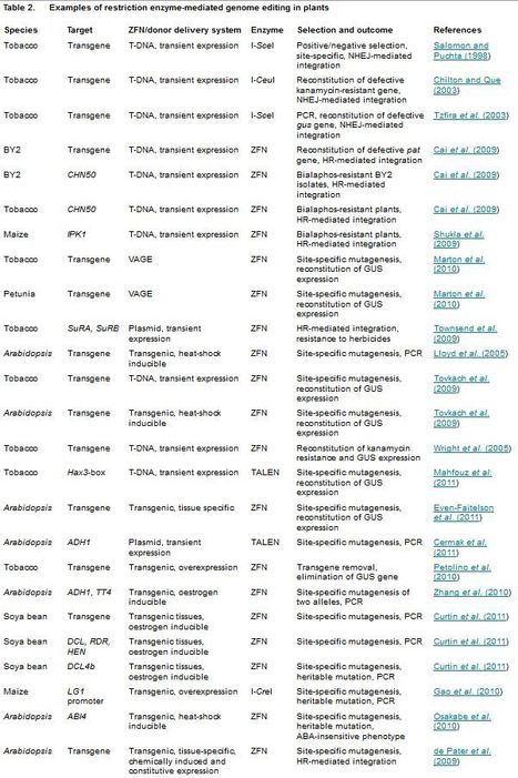 Genome modifications in plant cells by custom-made restriction enzymes - Tzfira - 2012 - Plant Biotechnology Journal | TAL effector science | Scoop.it