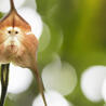 Biodiversité - @ZEHUB on Twitter