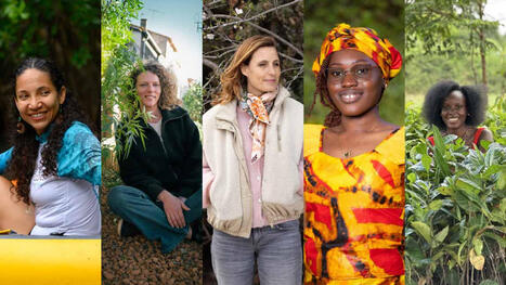 Terre de Femmes, d&eacute;couvrez nos laur&eacute;ates 2026 ! - Fondation Yves Rocher | Pour innover en agriculture | Scoop.it