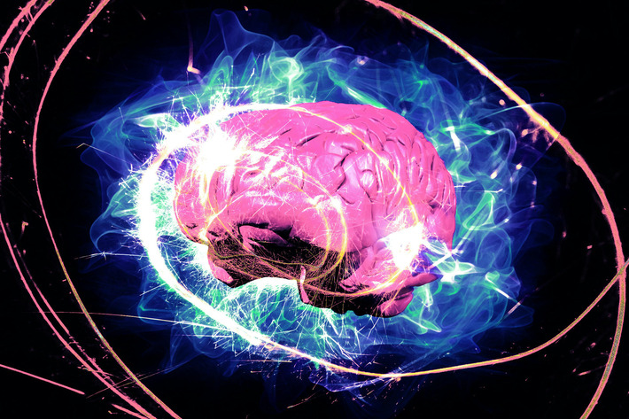 Neuroscientist Says We're All Wrong About Root of Consciousness in Our Brains | The Health Report | Scoop.it