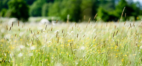 Le Concours g&eacute;n&eacute;ral agricole des pratiques agro&eacute;cologiques- OFB | Biodiversit&eacute; | Scoop.it