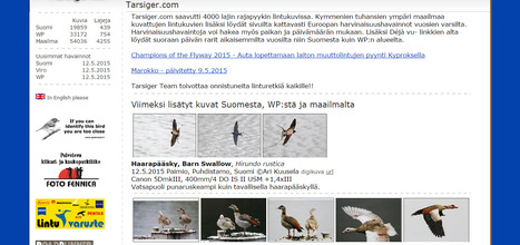 Tarsiger.com - lintukuvia ja -ääniä | 1Uutiset - Lukemisen tähden | Scoop.it