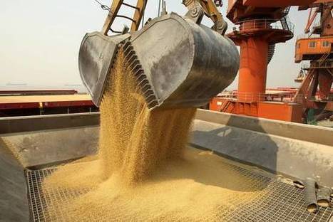 #China: La harina de soya es la nueva obsesión de los especuladores chinos | SC News® | Scoop.it