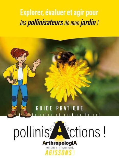 Le guide Pollinis'Actions : Guide pratique "Explorer, évaluer et agir pour les pollinisateurs de mon  jardin !" | Insect Archive | Scoop.it