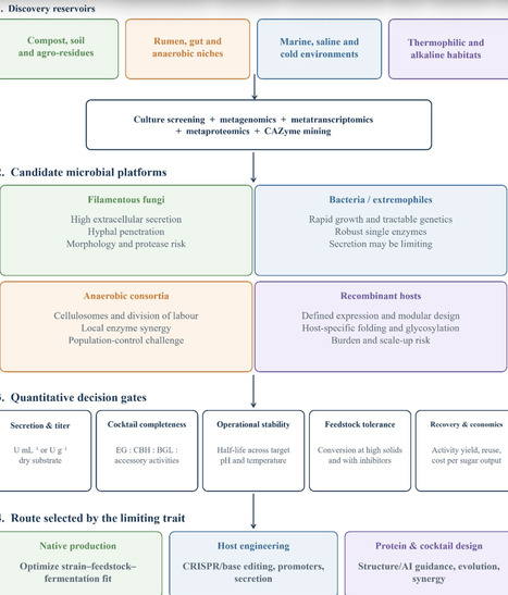 Engineered Microbial Cellulases for Biomass Conversion: Integrating Omics, Expression Platforms, Fermentation Engineering and Enzyme Reusability | bab | RMH | Scoop.it