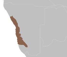 Désert du Namib | Les déserts dans le monde | Scoop.it