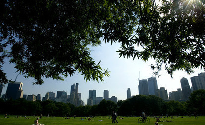 How can we build the green cities of tomorrow? | Stage 5  Changing Places | Scoop.it
