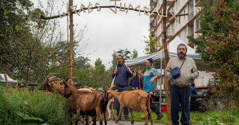 À Bagnolet, les habitants des Malassis vivent avec les chèvres | Paysage - Agriculture | Scoop.it