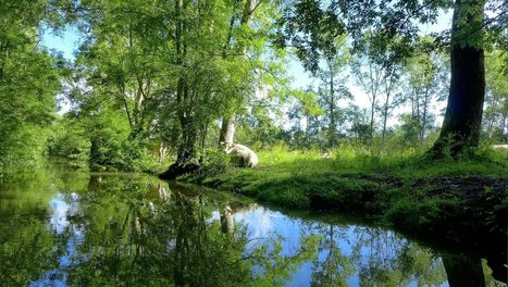 Une escapade : 3 Grands Sites entre Aude et Hérault - Escapade nature sans voiture | Biodiversité | Scoop.it