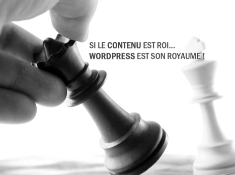 Sans contenu votre blog WordPress n’est rien ! | WordPress France | Scoop.it