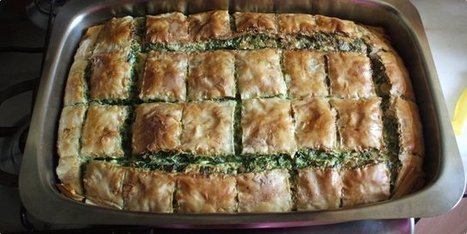 Slagana zeljanica | КУВАР | Scoop.it