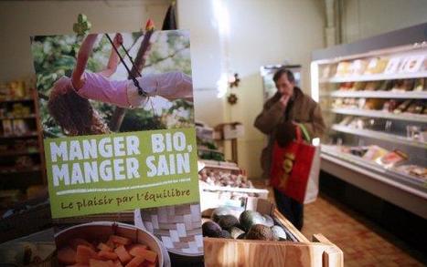 Eau, auto, bio: les Fran&ccedil;ais agissent de plus en plus &eacute;colo | Plan&egrave;te DDurable | Scoop.it