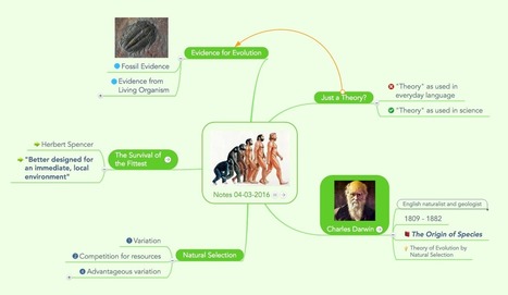 From Collecting Dots to Connecting Dots: Using Mind Maps to Improve Memory and Learning | Classemapping | Scoop.it