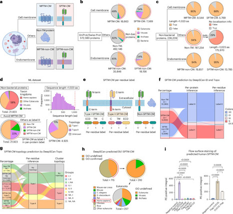 Discovery and design of potent cell surface display elements | Nbt | RMH | Scoop.it