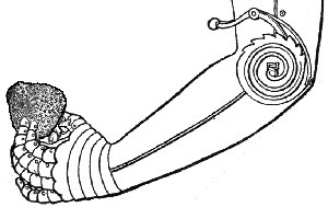 Racist Robots | digisapiens v.1.0 | Scoop.it