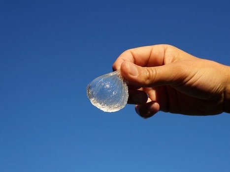 Bubble-like Water Bottle you can Eat | GREENEYES | Scoop.it